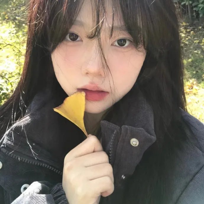 美国的儿子